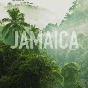 Meet your Posher, Alroy